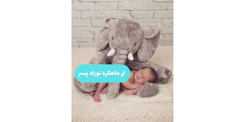 خلاقانه ایده عکس ماهگرد نوزاد پسر در منزل با عروسک فیل