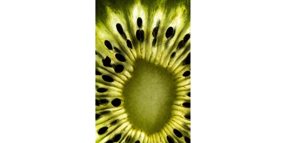 عکاسی با لنز ماکرو از داخل میوه کیوی